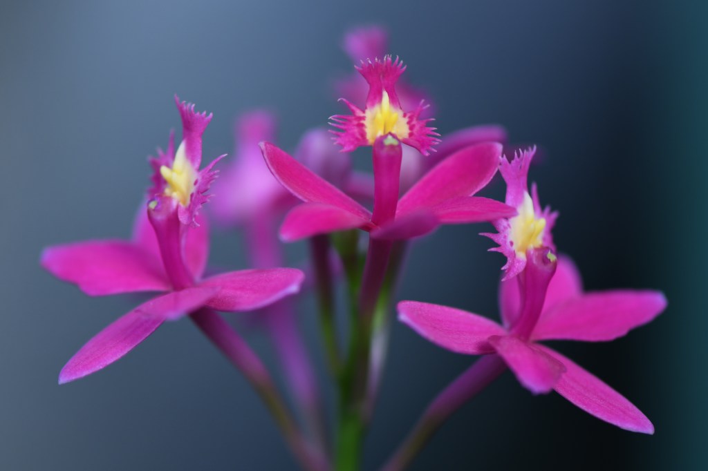 A Midweek Break From the Job&nbsp;Search